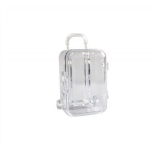 VALISE TRANSPARENTE 2 pcs
